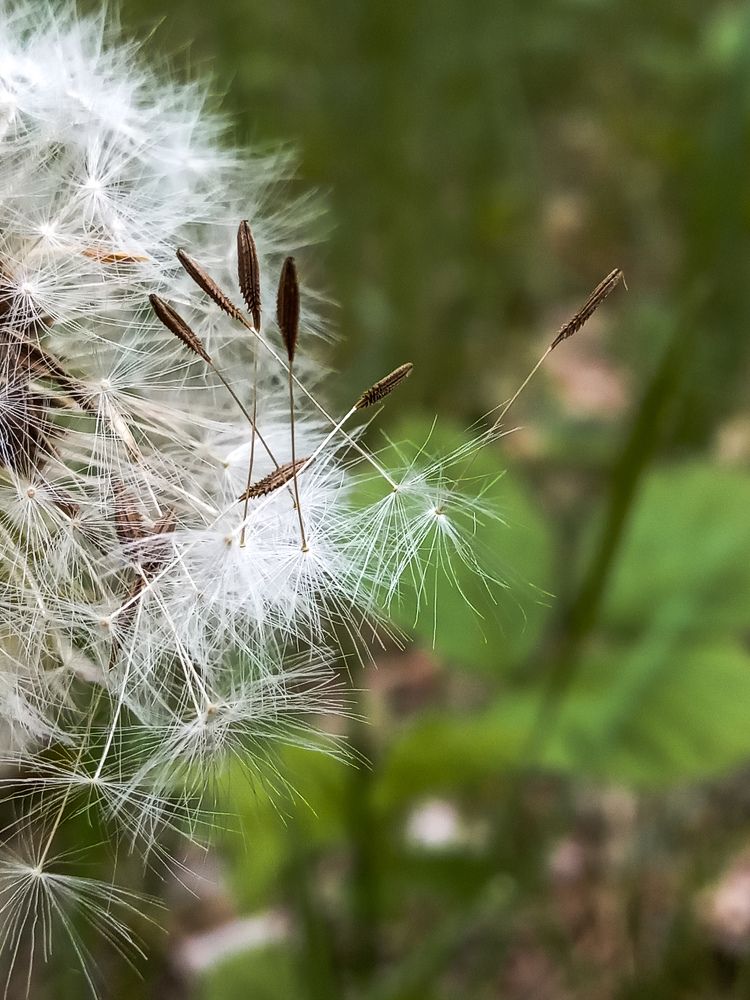 Photograph by Оксана