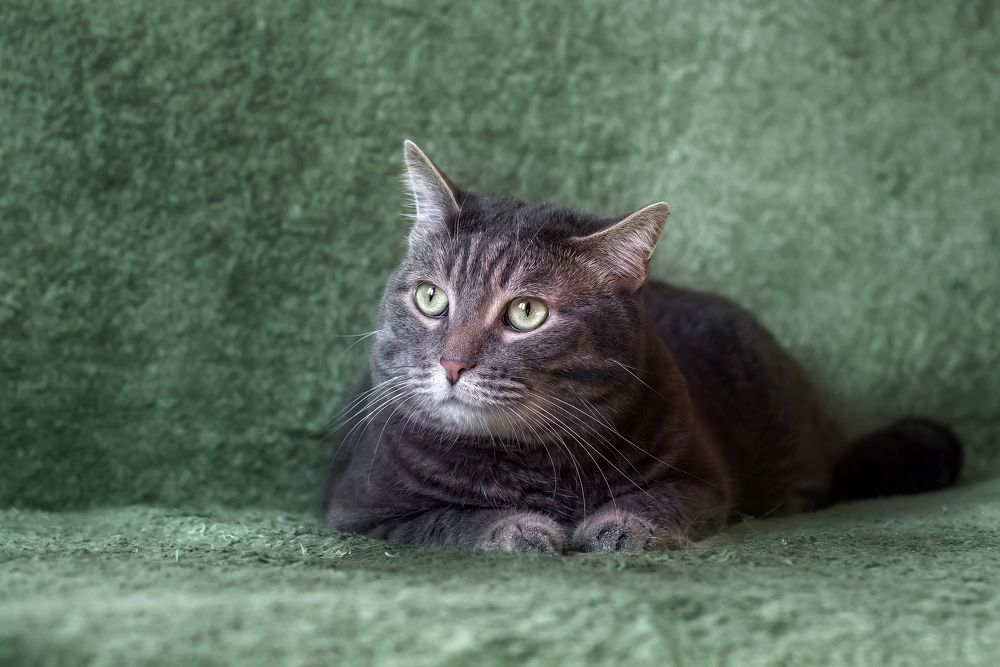 Photograph by Соколова Елена