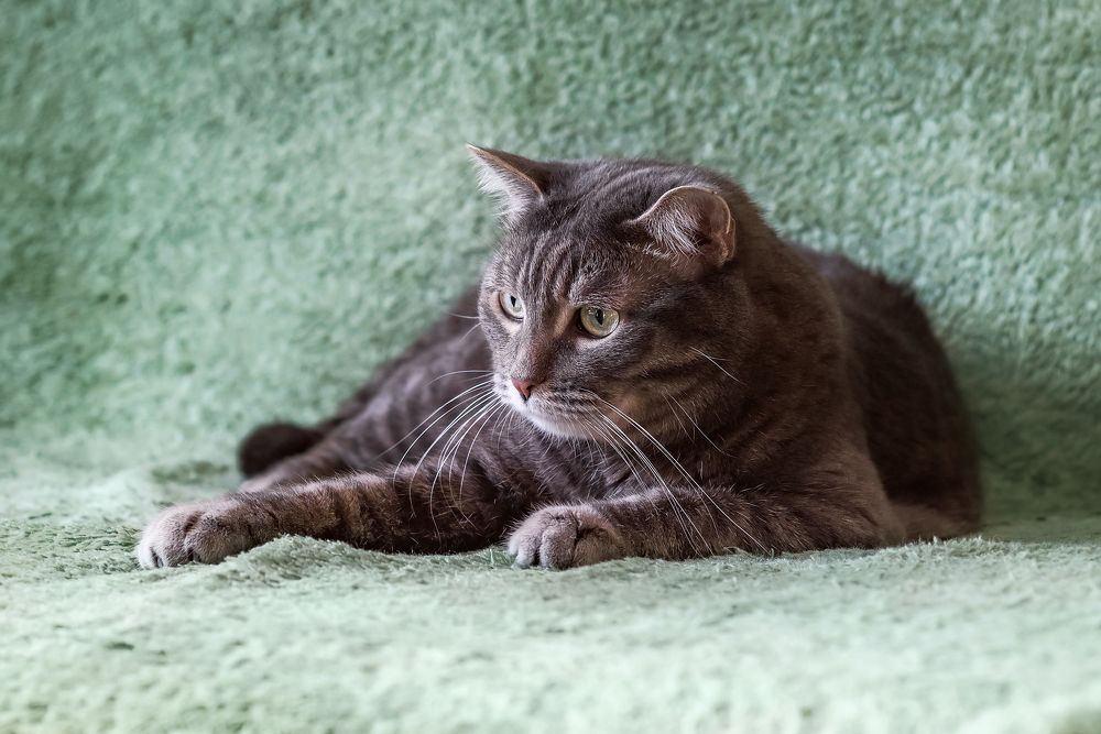 Photograph by Соколова Елена