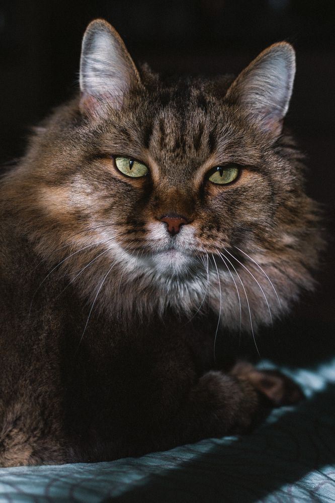 Photograph by Ольга Владимировна