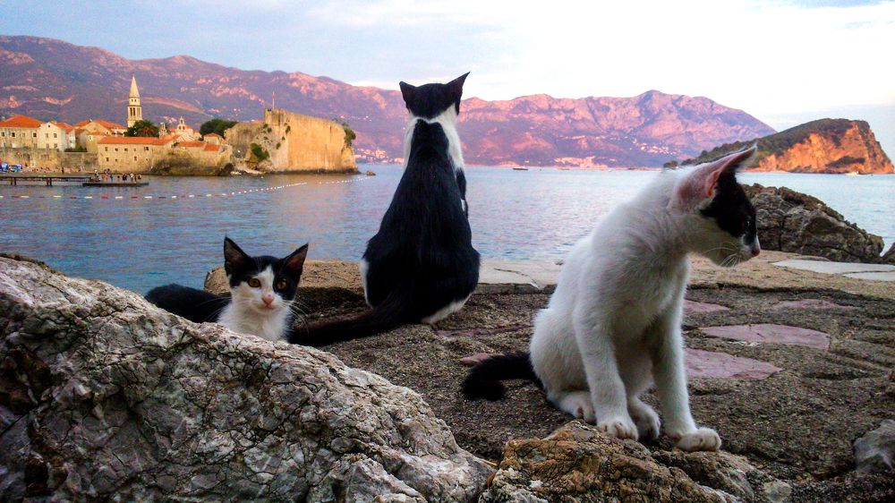 Фотография автора Ксения