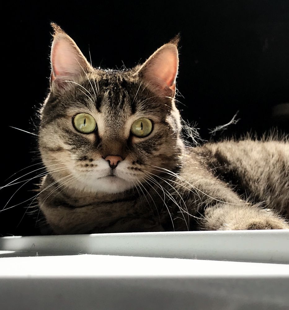 Photograph by Данил Исхаков