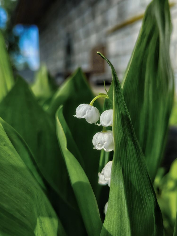 Photograph by Наталья Веряскина