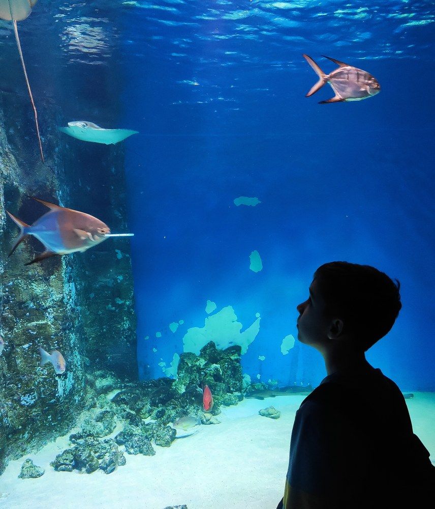 Photograph by Ольга Владимировна