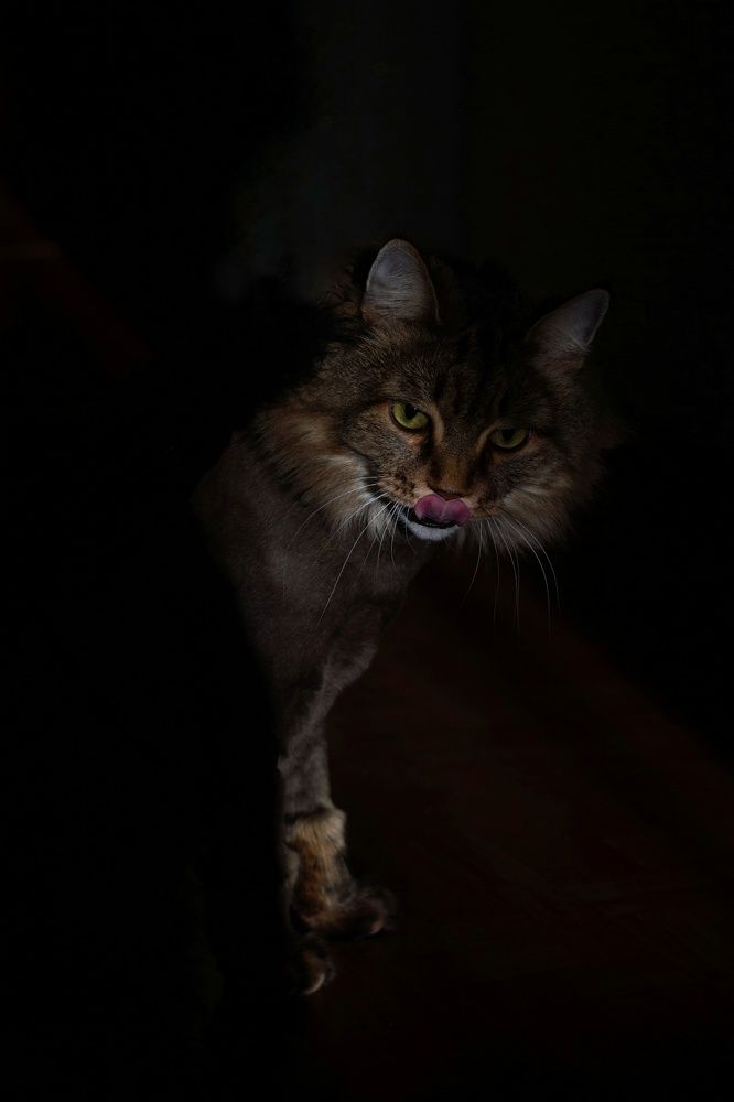 Photograph by Ольга Владимировна