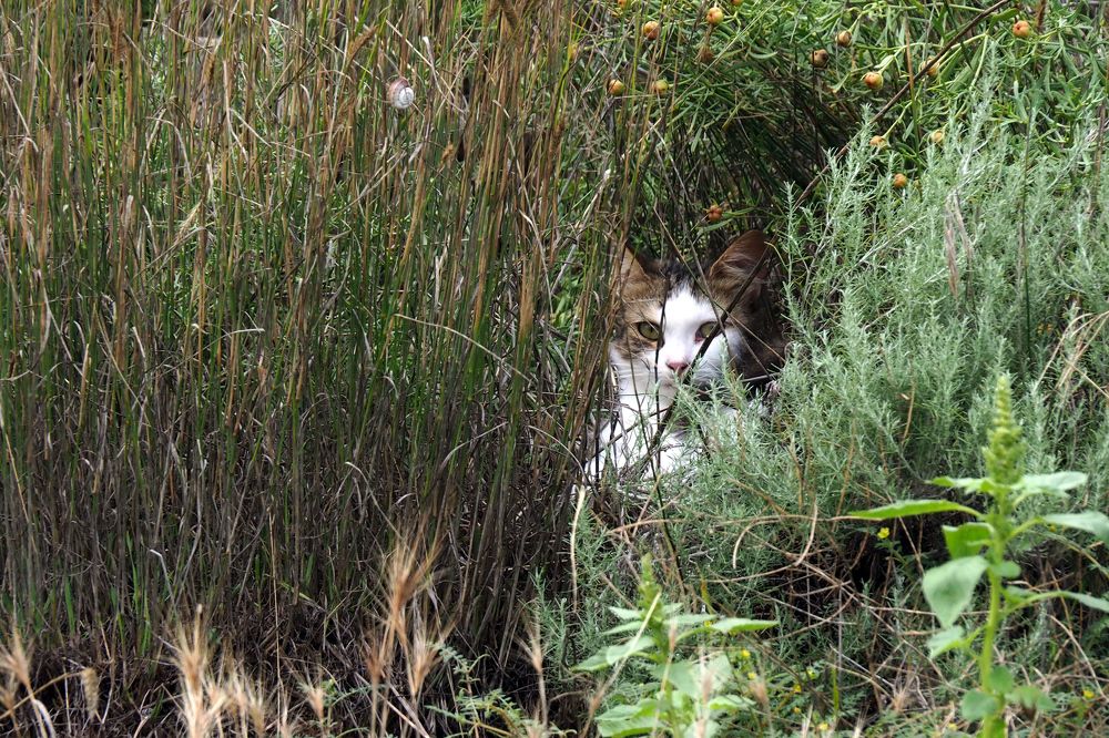 Photograph by Дмитрий Дулин