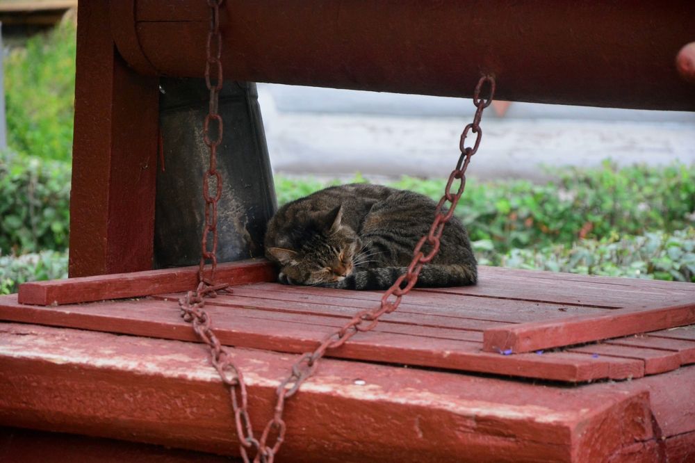 Photograph by Дмитрий Дулин