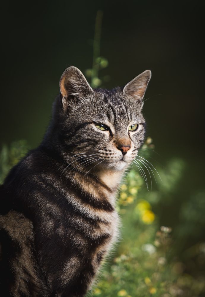 Photograph by Karen Falah