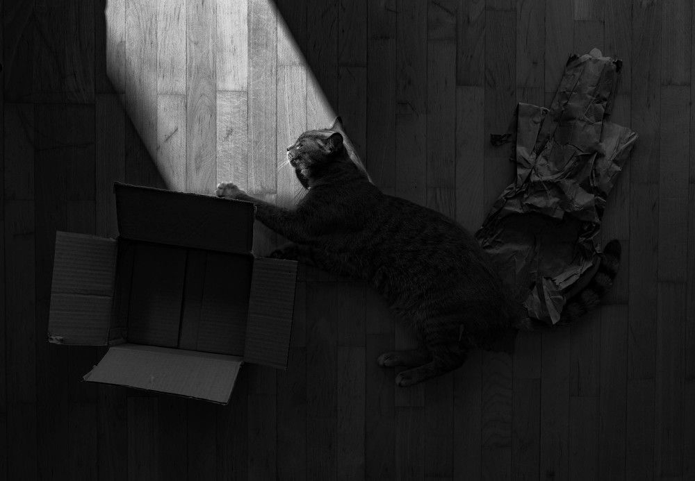 Photograph by Михаил Мамаев