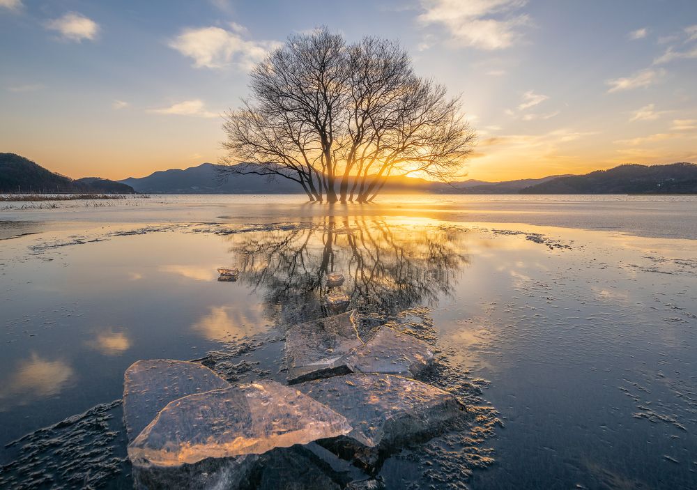 Photograph by Jaeyoun Ryu