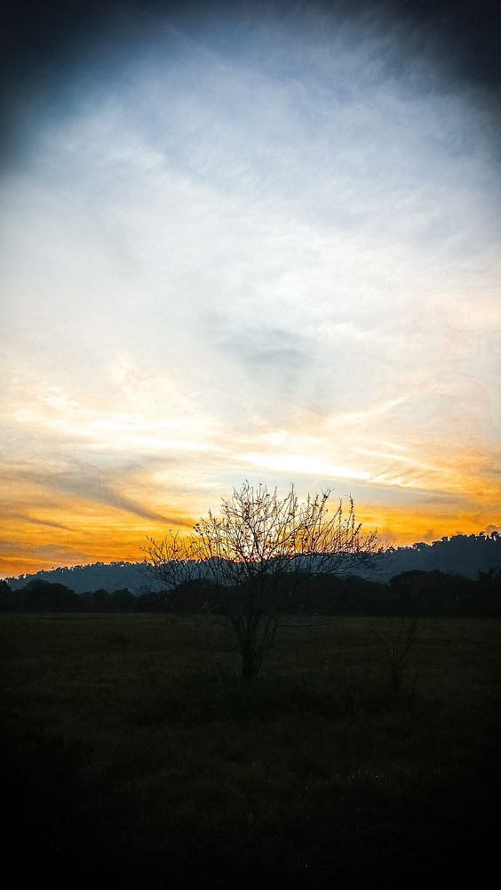Photo #10674456