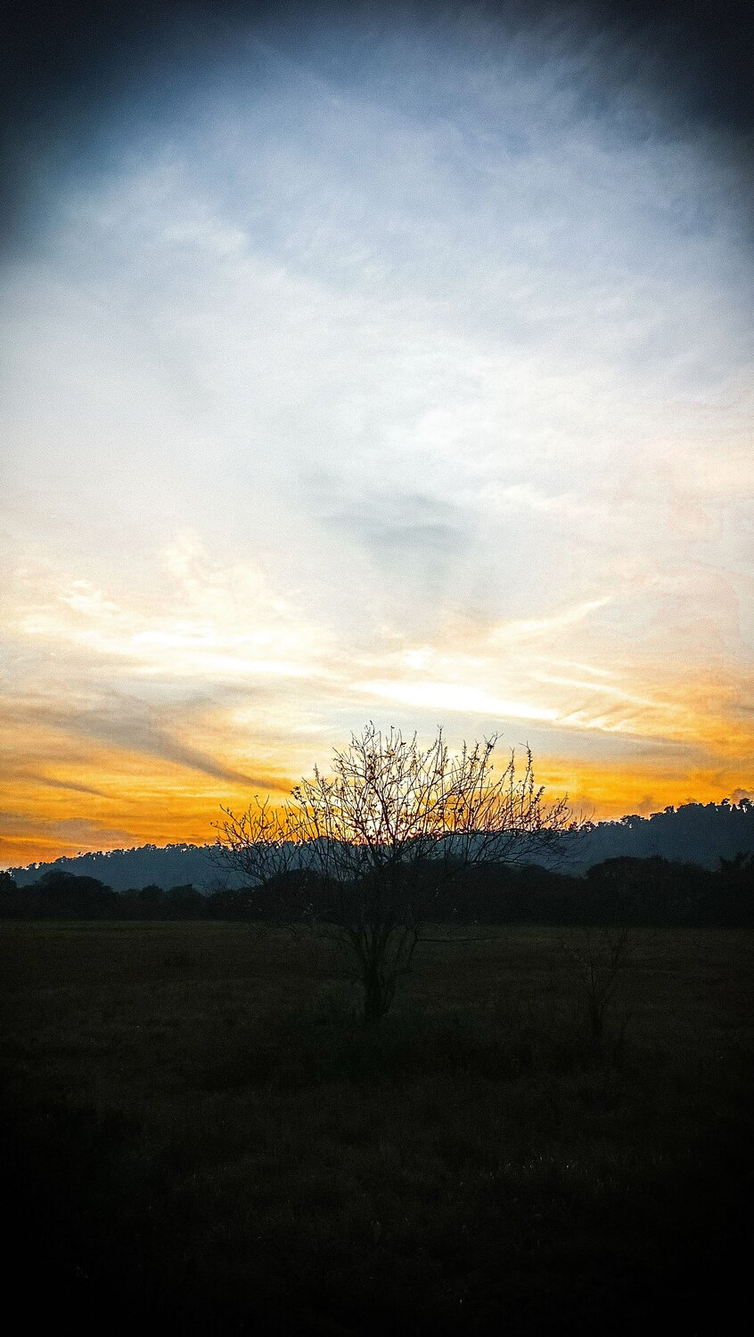 Photo #10674456