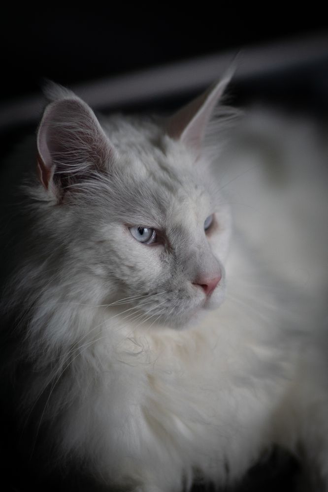 Photograph by Svetlana