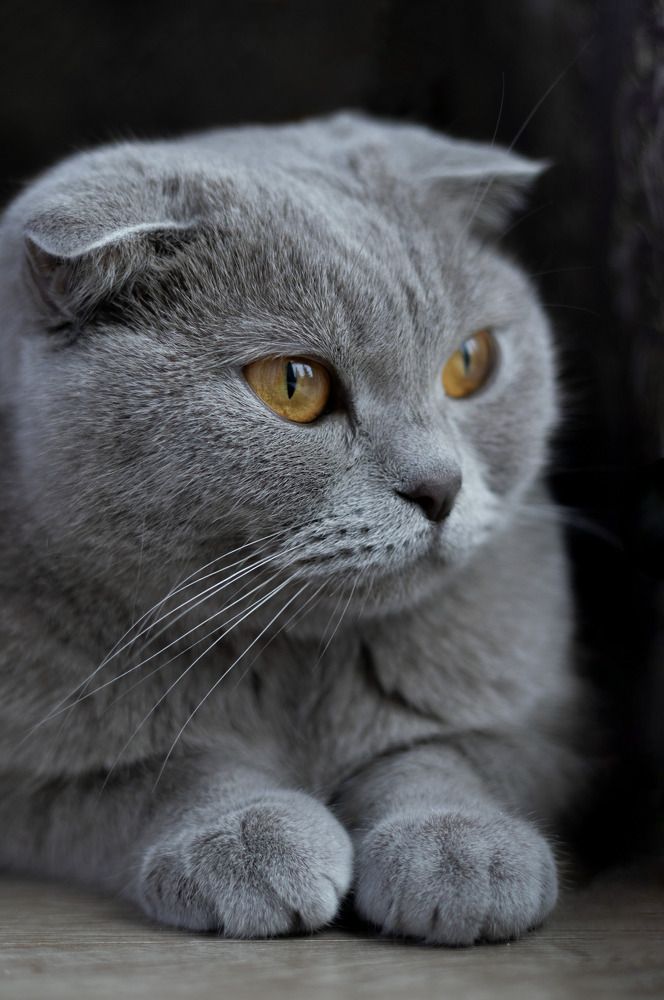 Photograph by Вася Кадочников