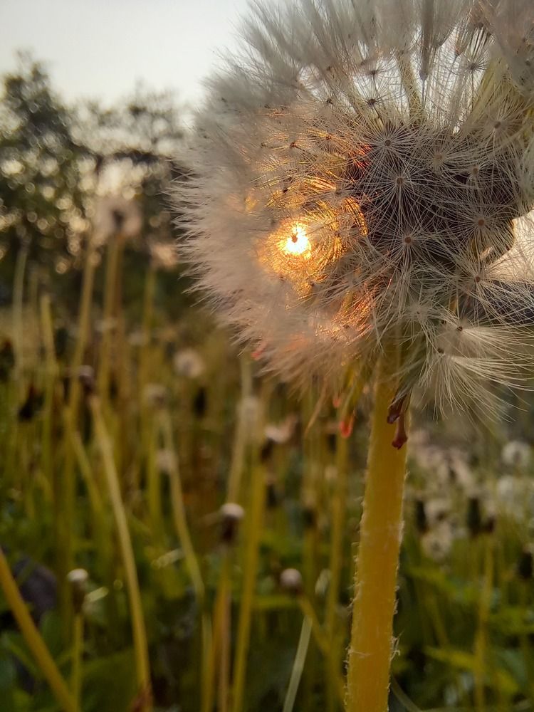 Photograph by Елена Воронова