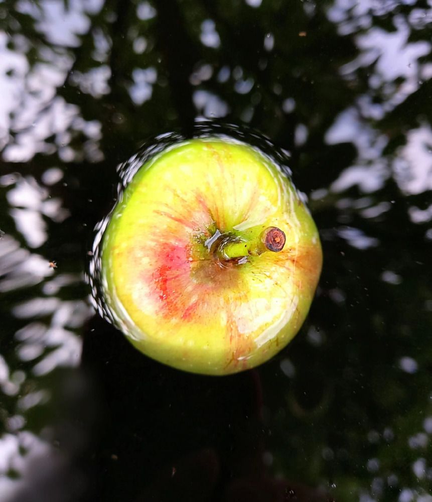 Photograph by Елена Воронова