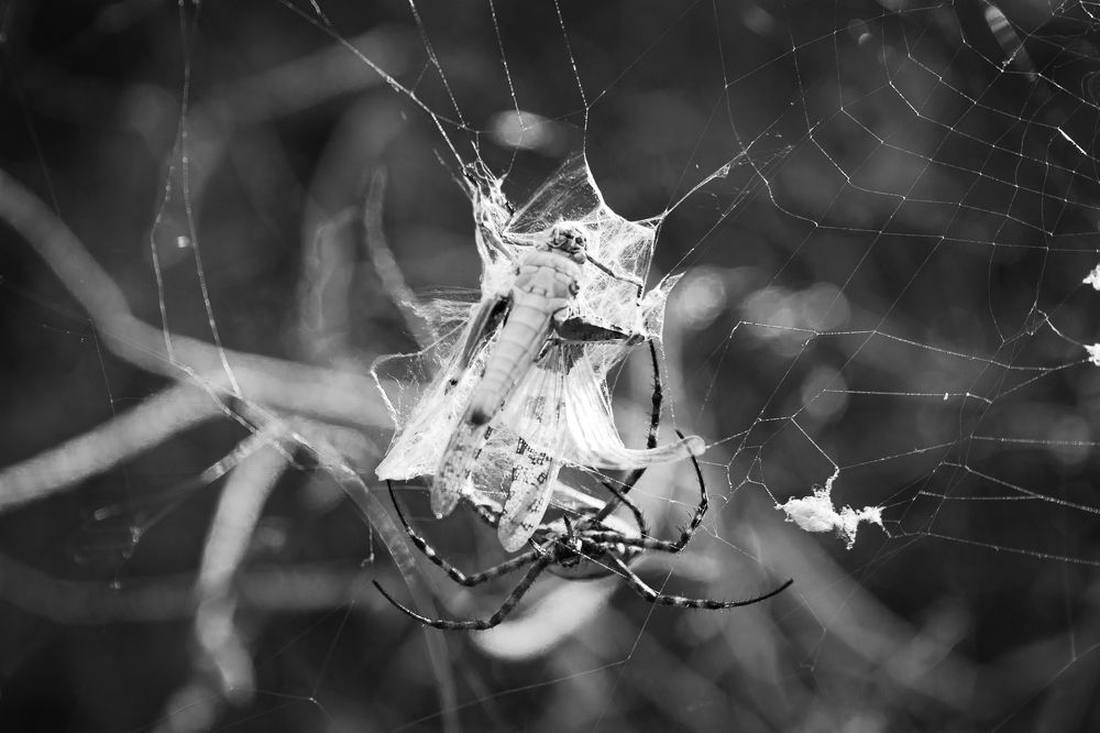 Фотография автора frankies photography