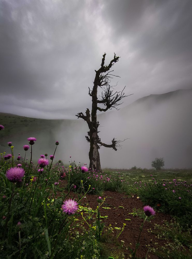 Photograph by Karen Falah