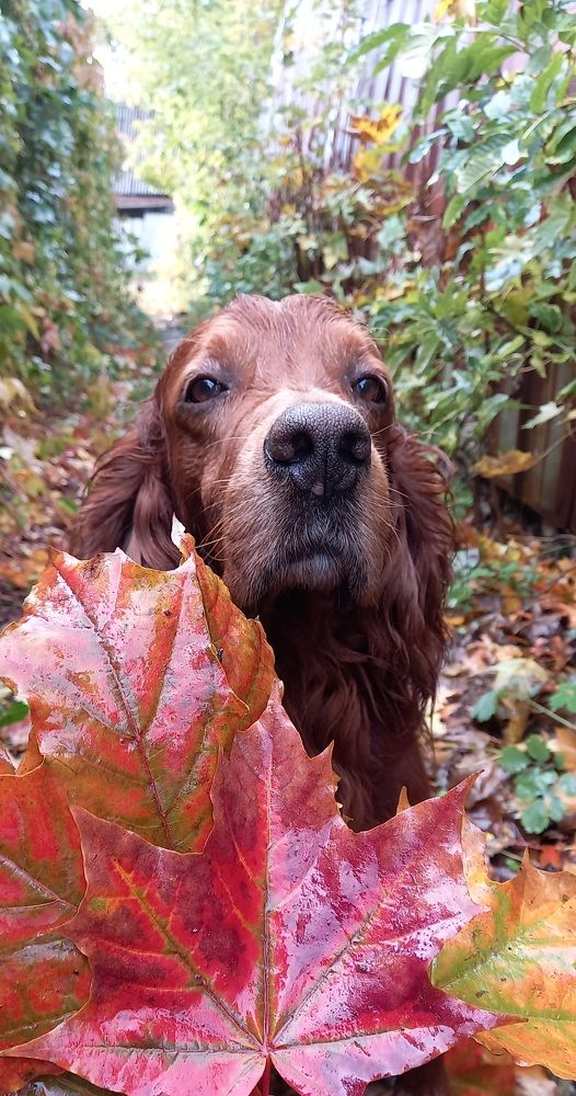 Photograph by Елена Воронова
