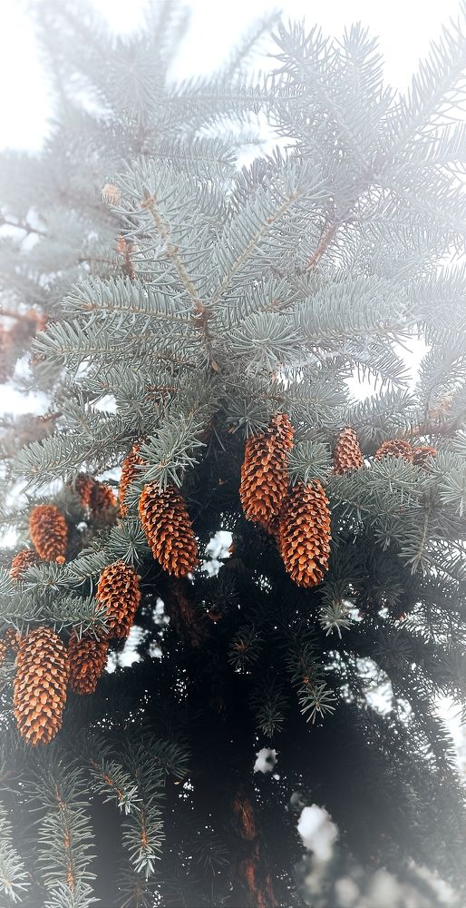 Photograph by Mishel Photographer