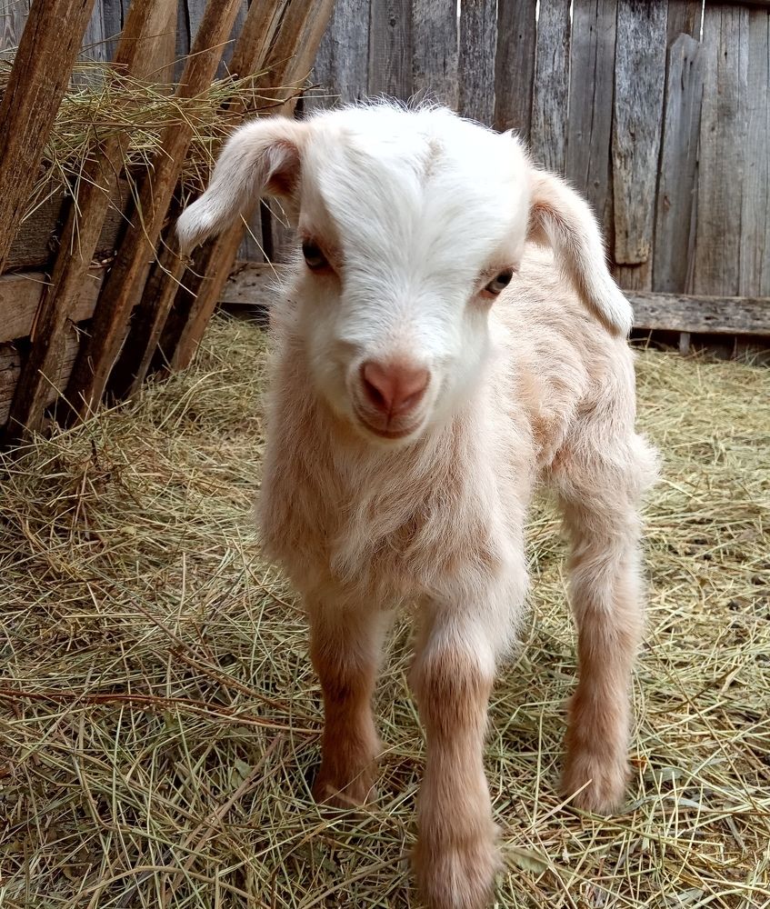 Photograph by Ольга Салтыкова