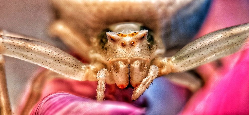 Photograph by Mahdi Mohammadi