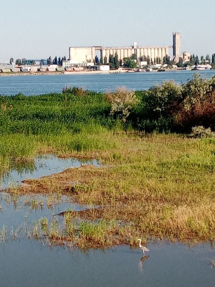 Photograph by Надежда Чаплынская