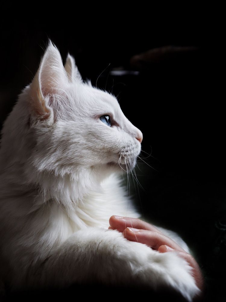 Photograph by Людмила Евстратова