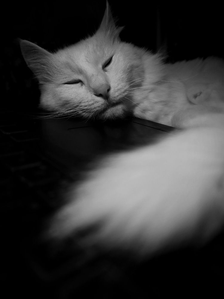 Photograph by Людмила Евстратова