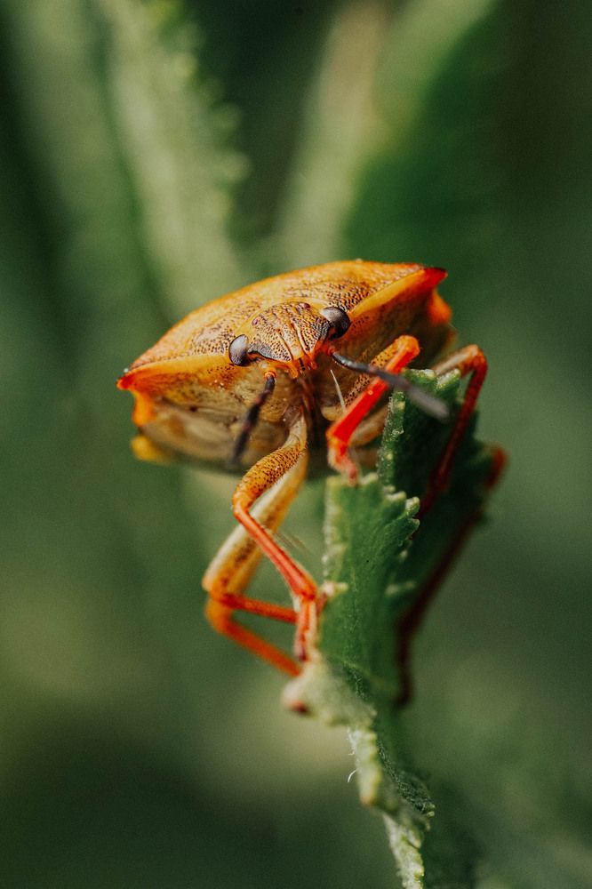 Фотография автора Любовь Маслова