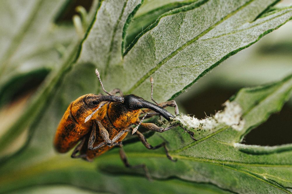 Фотография автора Любовь Маслова