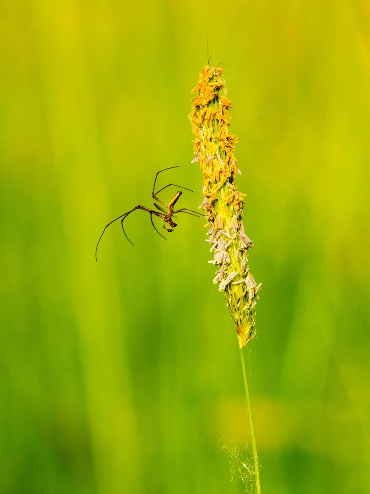 Photograph by Andrei Sosnouski