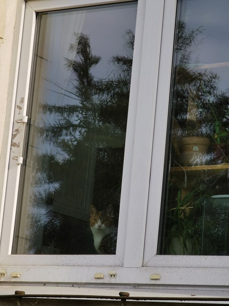 Photograph by Виталий Кореньков