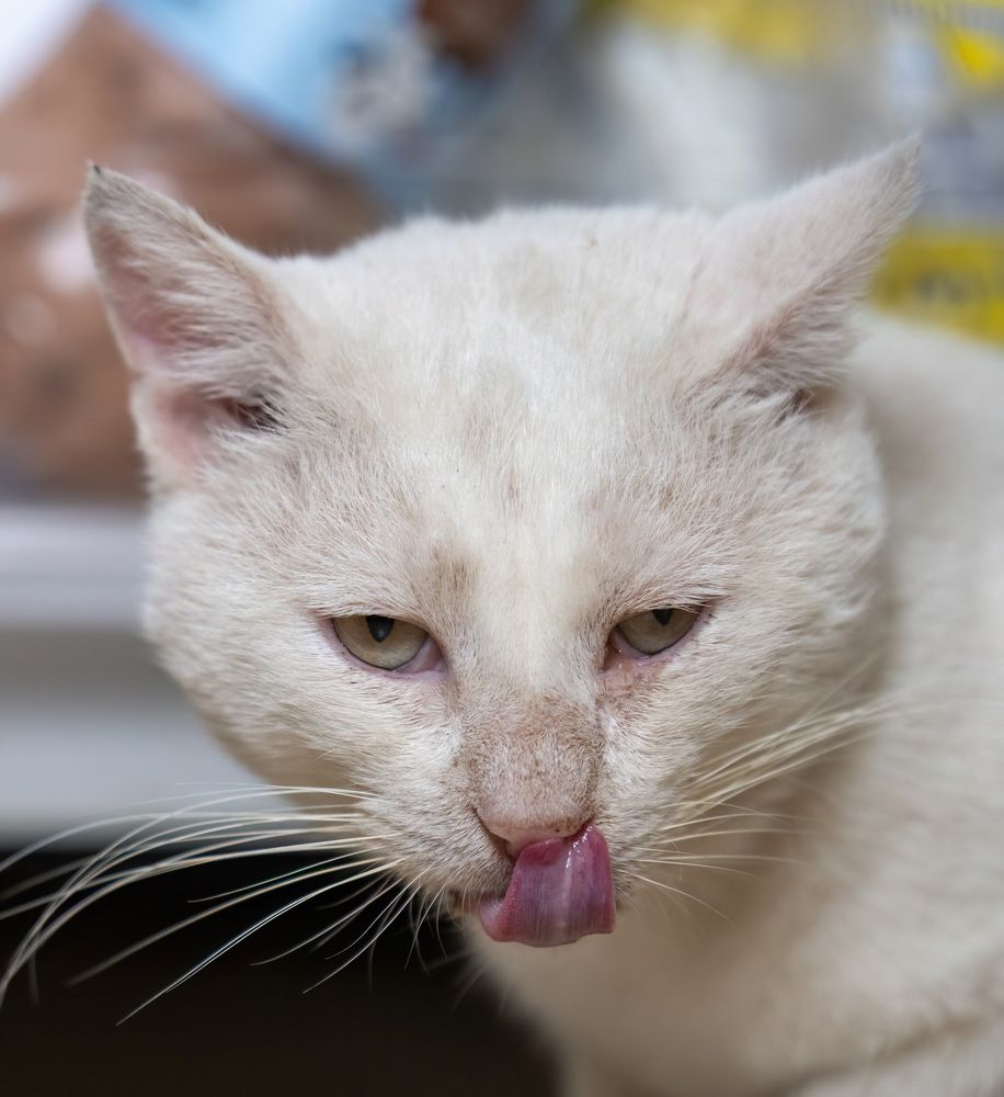 Фотография автора Mohammed sajd Abo ganem