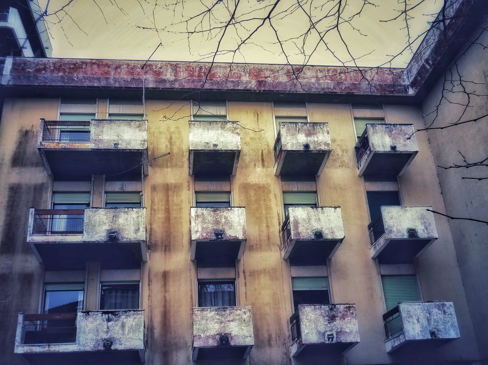 Photograph by Patrícia cruz