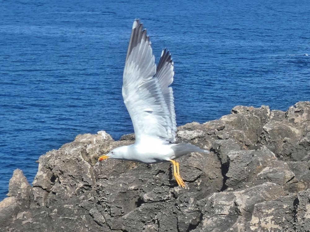 Photograph by Patrícia cruz