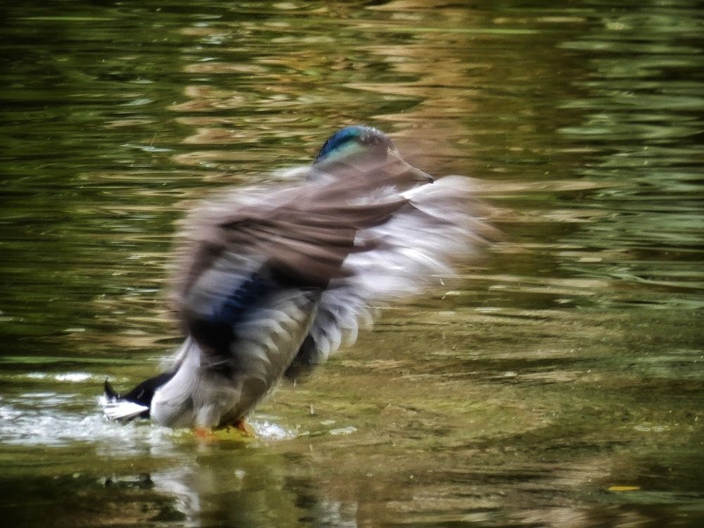 Photograph by Patrícia cruz