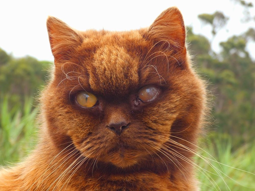 Photograph by Patrícia cruz