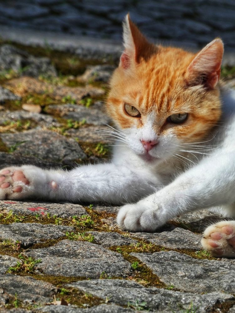 Photograph by Patrícia cruz