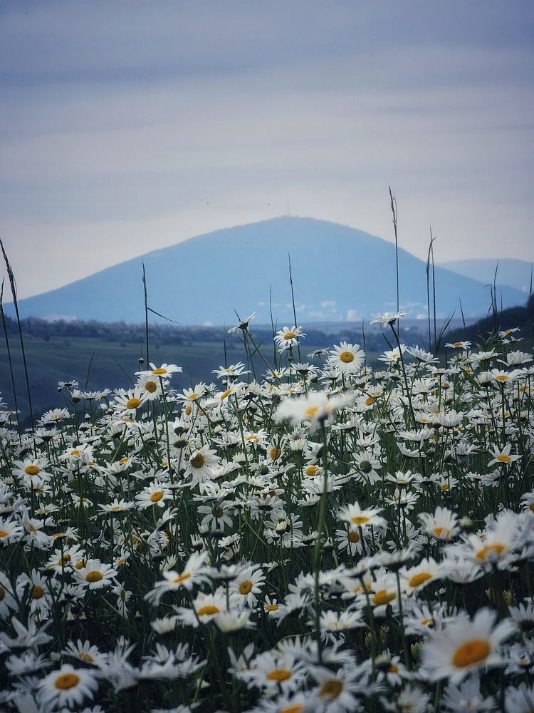 Photograph by Аня Белозерова