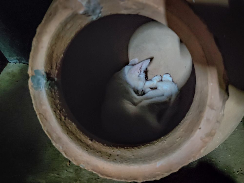 Photograph by Vijayakumar