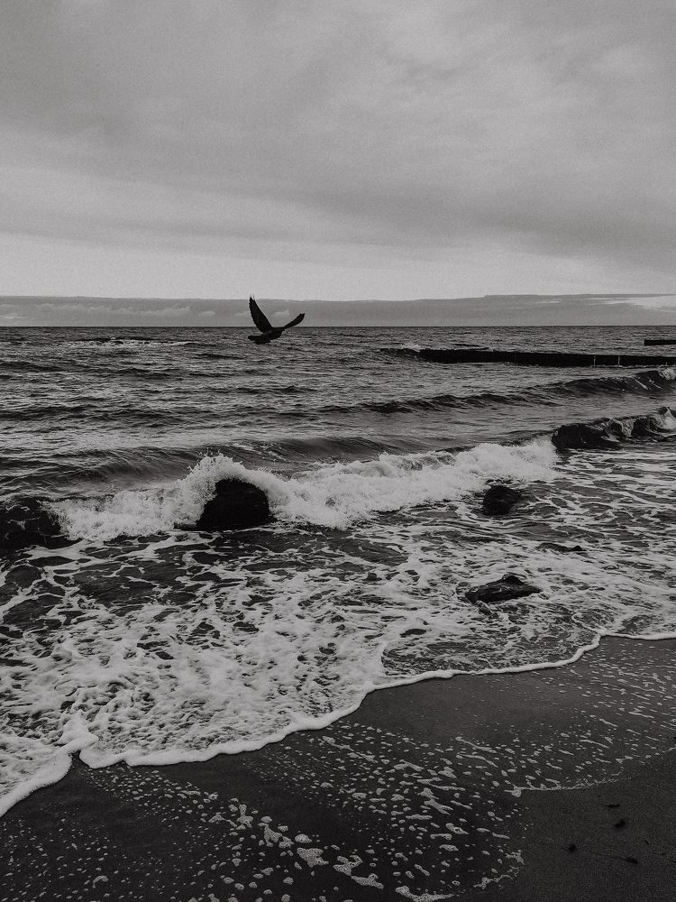 Photograph by Света Вирбицкас