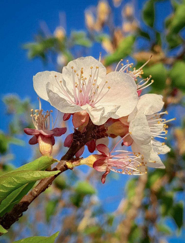 Photograph by Sara Bounab