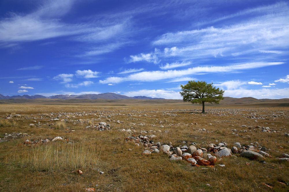 Photograph by Сергей Карчевский