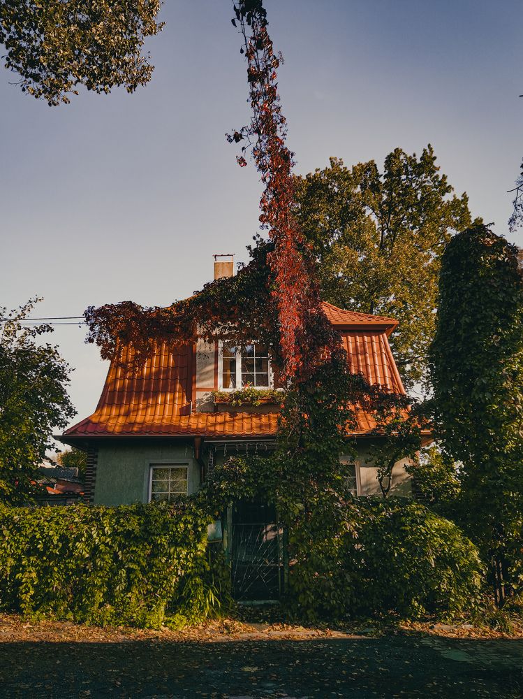 Photograph by Света Вирбицкас