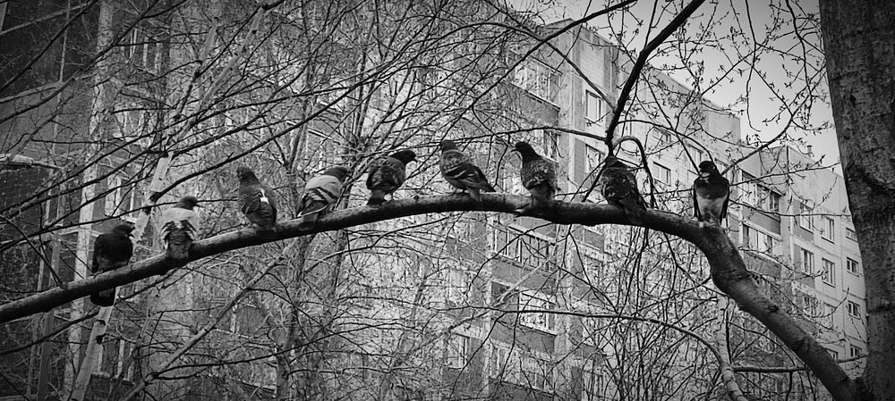 Photograph by Юрий Катков