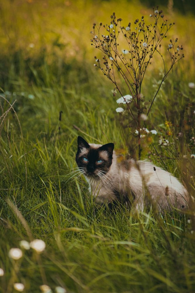 Photograph by Света Вирбицкас