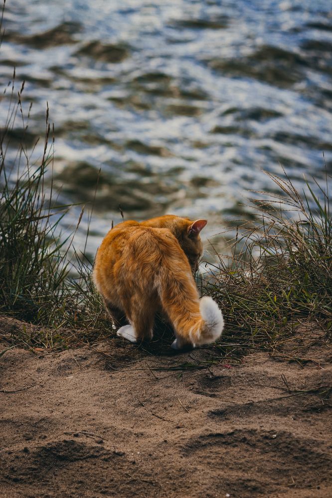 Photograph by Света Вирбицкас