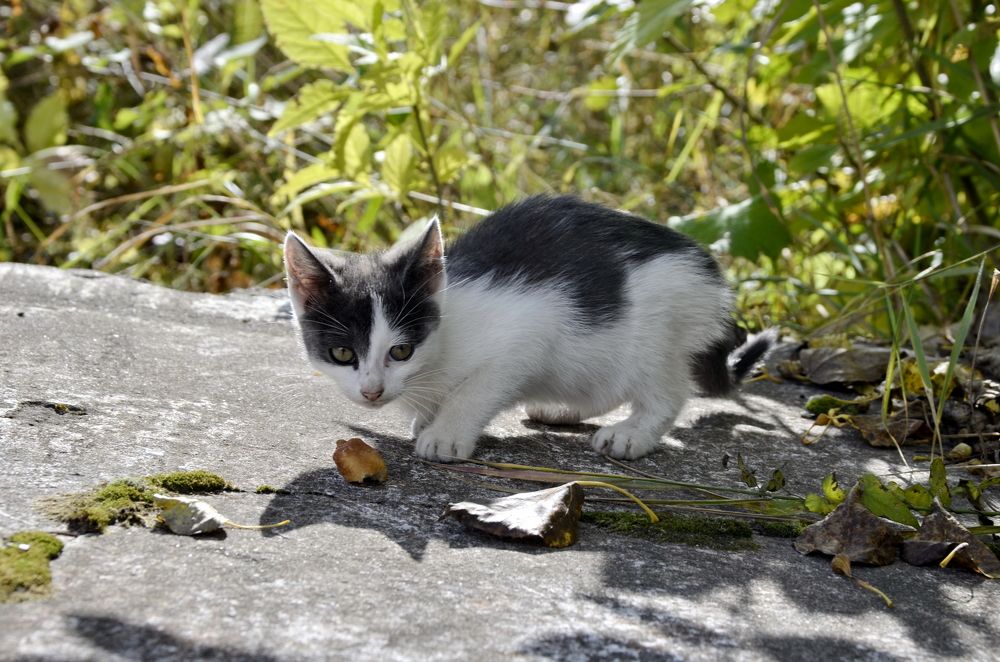 Photograph by Николай Соколовский