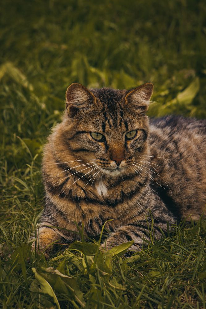 Photograph by Света Вирбицкас